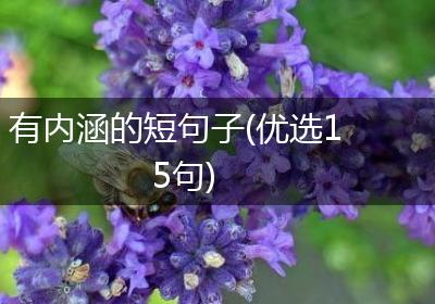 有内涵的短句子(优选15句)