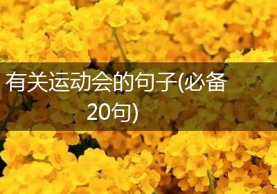 有关运动会的句子(必备20句)