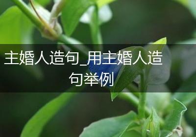 主婚人造句_用主婚人造句举例