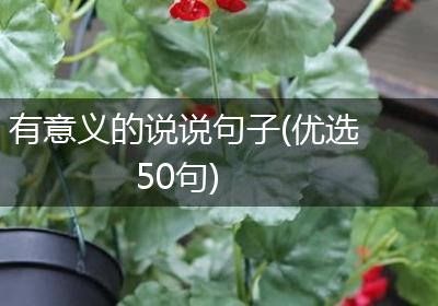 有意义的说说句子(优选50句)