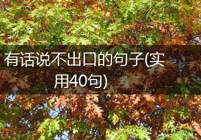 有话说不出口的句子(实用40句)