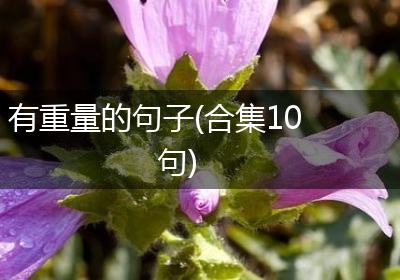 有重量的句子(合集10句)