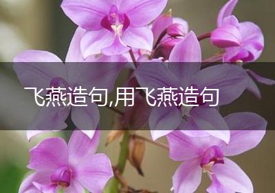飞燕造句,用飞燕造句