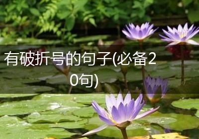 有破折号的句子(必备20句)