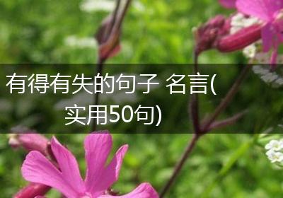 有得有失的句子 名言(实用50句)