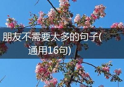 朋友不需要太多的句子(通用16句)