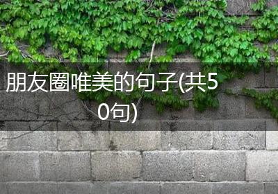 朋友圈唯美的句子(共50句)