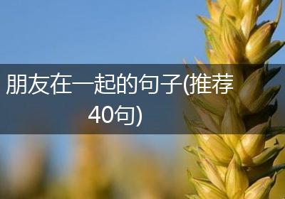 朋友在一起的句子(推荐40句)