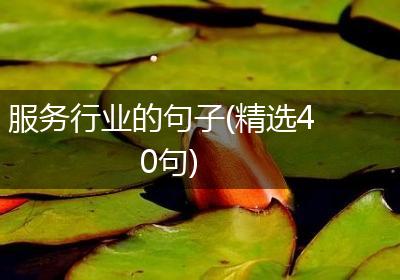 服务行业的句子(精选40句)