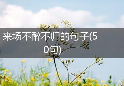 来场不醉不归的句子(50句)