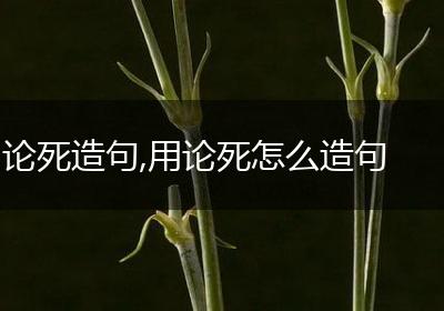 论死造句,用论死怎么造句