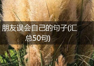 朋友误会自己的句子(汇总50句)