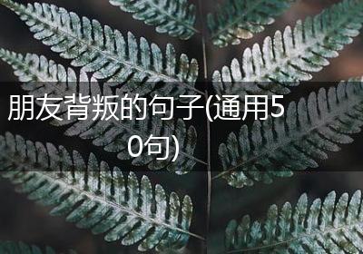 朋友背叛的句子(通用50句)