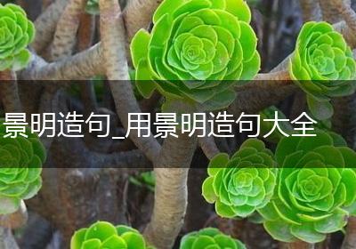 景明造句_用景明造句大全