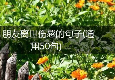 朋友离世伤感的句子(通用50句)