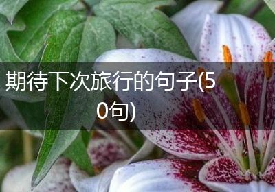 期待下次旅行的句子(50句)