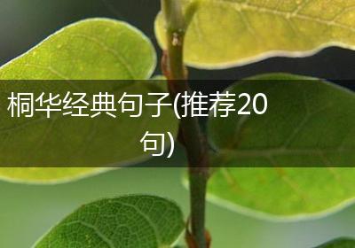 桐华经典句子(推荐20句)