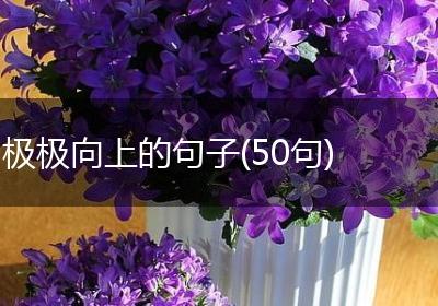 极极向上的句子(50句)