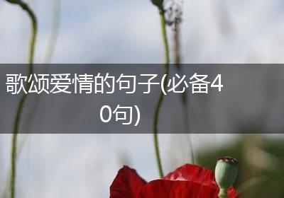歌颂爱情的句子(必备40句)