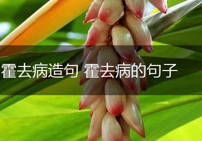 霍去病造句 霍去病的句子