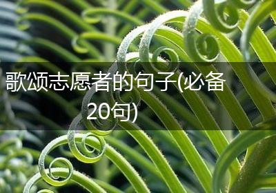 歌颂志愿者的句子(必备20句)