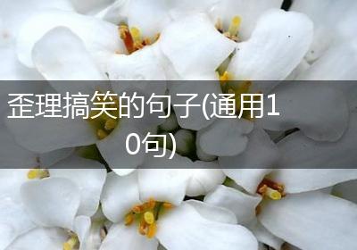 歪理搞笑的句子(通用10句)