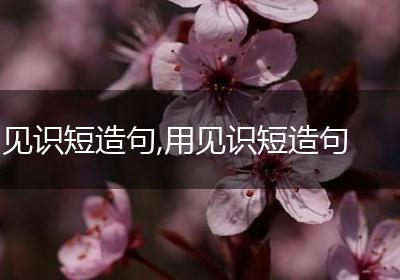 见识短造句,用见识短造句