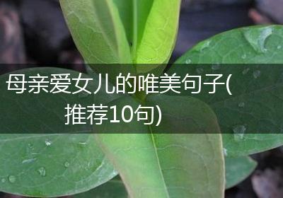 母亲爱女儿的唯美句子(推荐10句)
