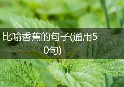 比喻香蕉的句子(通用50句)