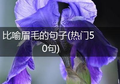 比喻眉毛的句子(热门50句)