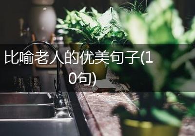 比喻老人的优美句子(10句)
