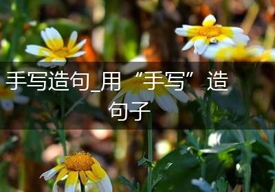 手写造句_用“手写”造句子