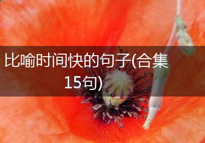比喻时间快的句子(合集15句)