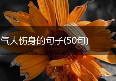 气大伤身的句子(50句)