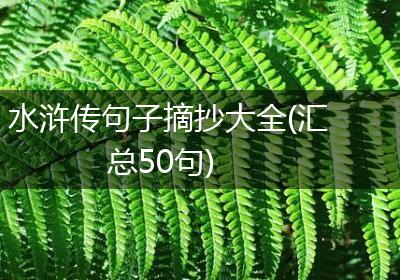 水浒传句子摘抄大全(汇总50句)