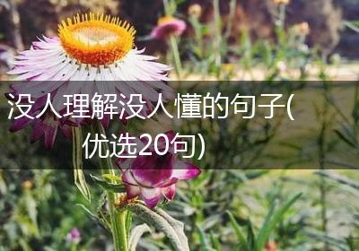 没人理解没人懂的句子(优选20句)