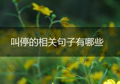 叫停的相关句子有哪些