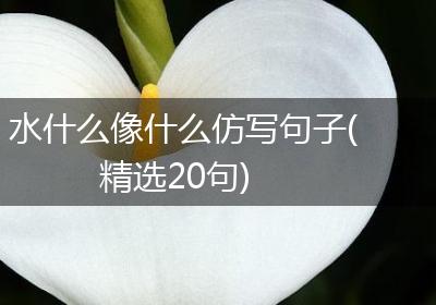 水什么像什么仿写句子(精选20句)