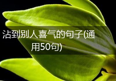 沾到别人喜气的句子(通用50句)
