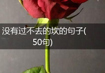没有过不去的坎的句子(50句)