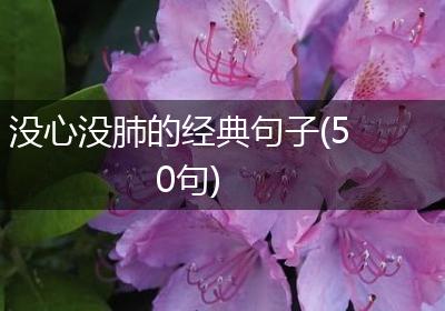 没心没肺的经典句子(50句)