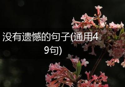 没有遗憾的句子(通用49句)