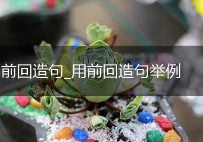 前回造句_用前回造句举例