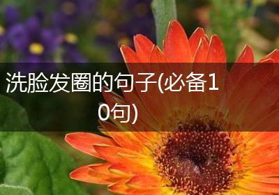 洗脸发圈的句子(必备10句)