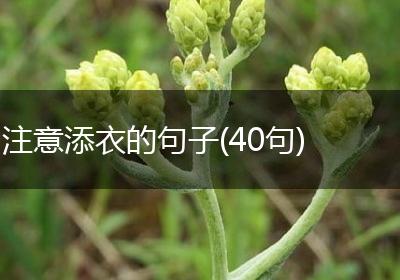 注意添衣的句子(40句)