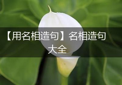 【用名相造句】名相造句大全