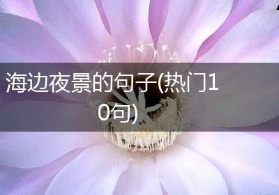 海边夜景的句子(热门10句)