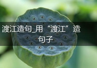 渡江造句_用“渡江”造句子