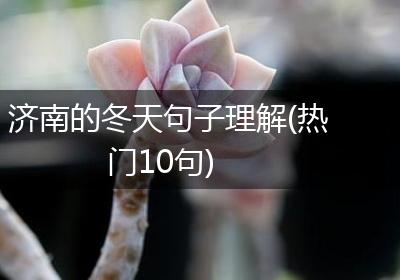 济南的冬天句子理解(热门10句)