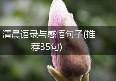 清晨语录与感悟句子(推荐35句)